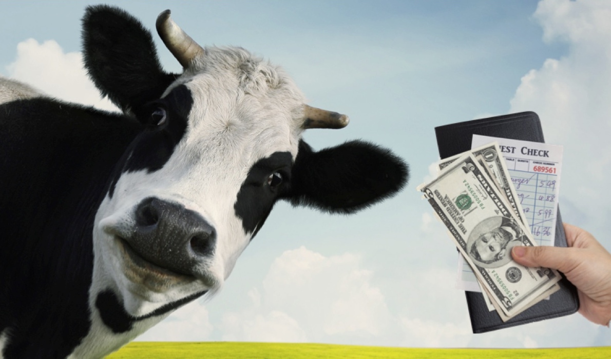 cow tipping clipart - photo #28